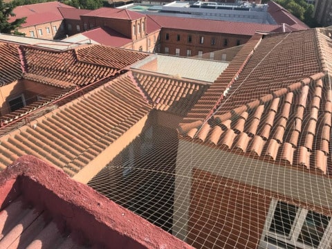 redes palomas