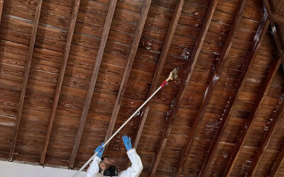 Tratamiento químico en techo de madera