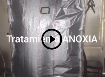 Tratamiento por Anoxia